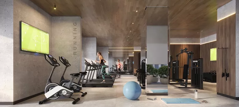 xACADEMIA.jpg.pagespeed.ic.HnsRAp_yoy